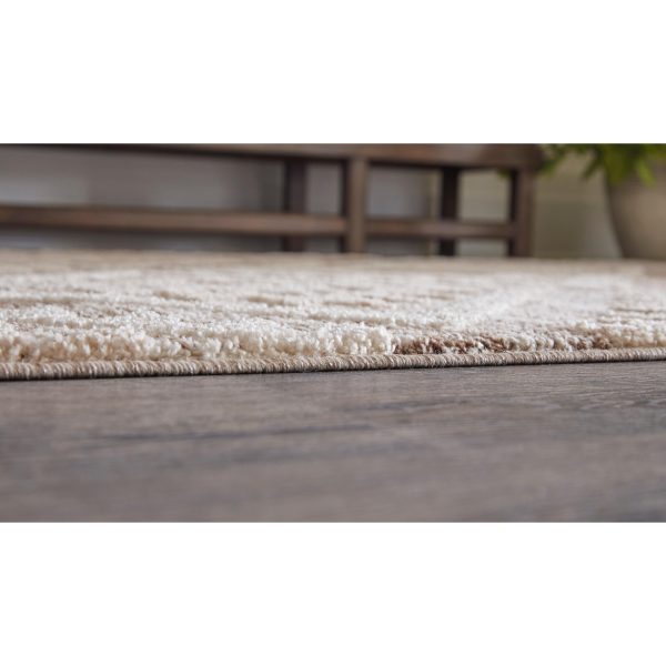 Signature Design by Ashley Odedale R406062 Medium Rug Online